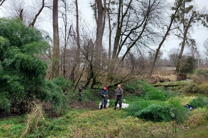 Firma Hönegger bei der Bekämpfung des Bambus
