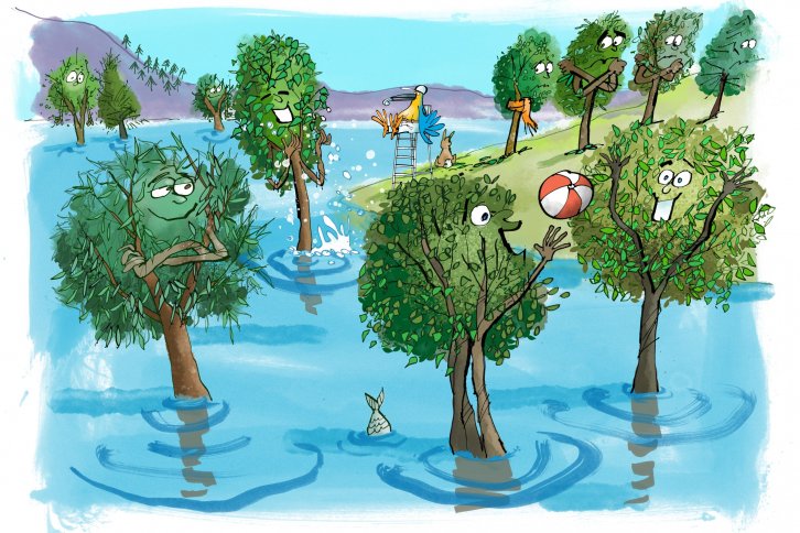 Die Zeichnung zeigt auf witzige Art und Weise, wie unterschiedlich verschiedene Baumarten mit Hochwasser umgehen. Die linke bzw. die untere Hälfte des Bildes sind mit Wasser überflutet, vier Bäume stehen darin und lachen, einer verschränkt ganz cool die Arme, ähm, Äste. Zwei der Bäume spielen mit einem rot-weißen Wasserball. In der rechten oberen Ecke des Bildes, die nicht überflutet ist, stehen vier weitere, ängstlich drein blickende Bäume im Trockenen und hoffen, dass das Wasser nicht noch weiter steigt - sie wollen keine nassen Zehen, ähm, Wurzeln bekommen.