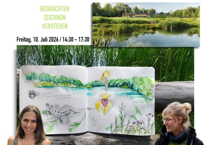 Nature Journaling in der Auenwerkstatt  Beobachten - Zeichnen - Verstehen